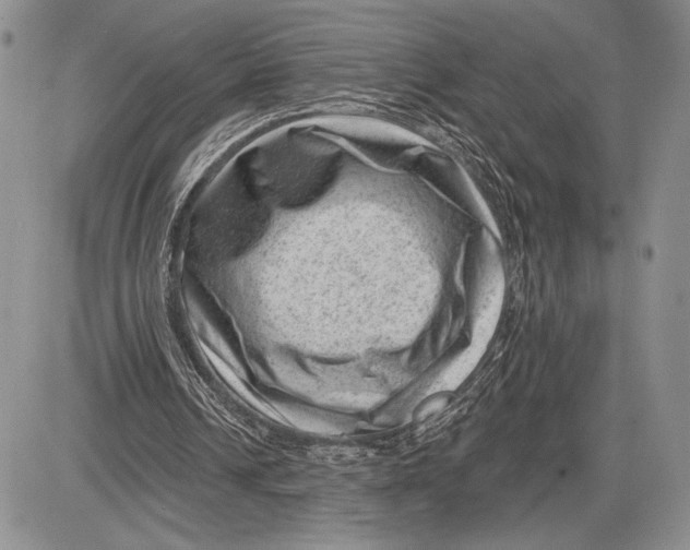 X0000081560242200702051156