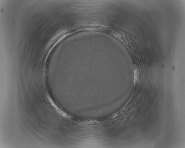 X0000081560243200702051156