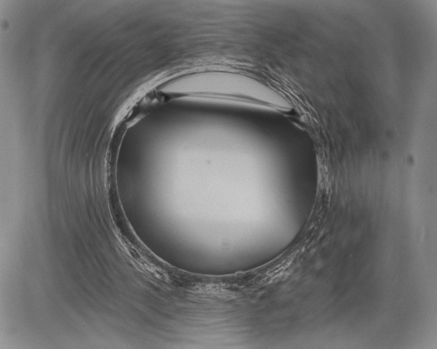 X0000081560244200702051156