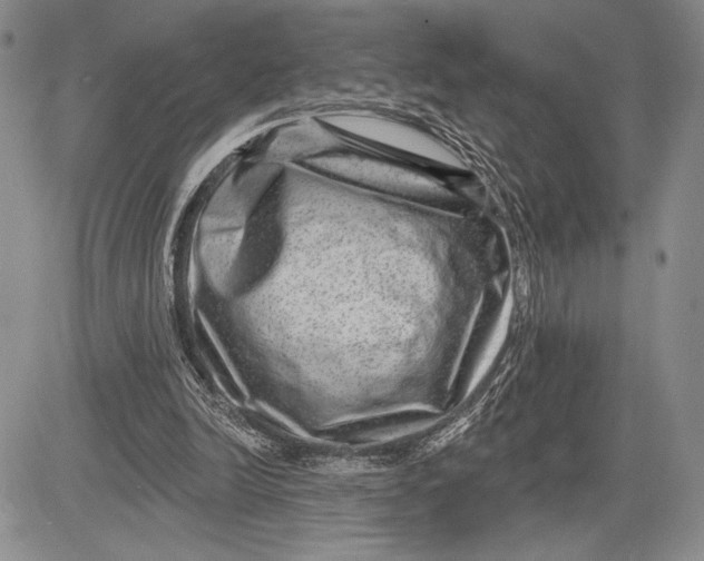 X0000081560246200702051156