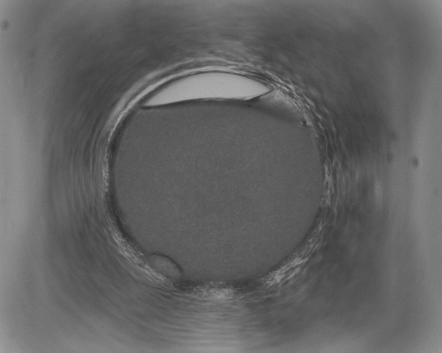 X0000081560247200702051156