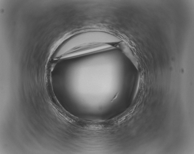 X0000081560248200702051156