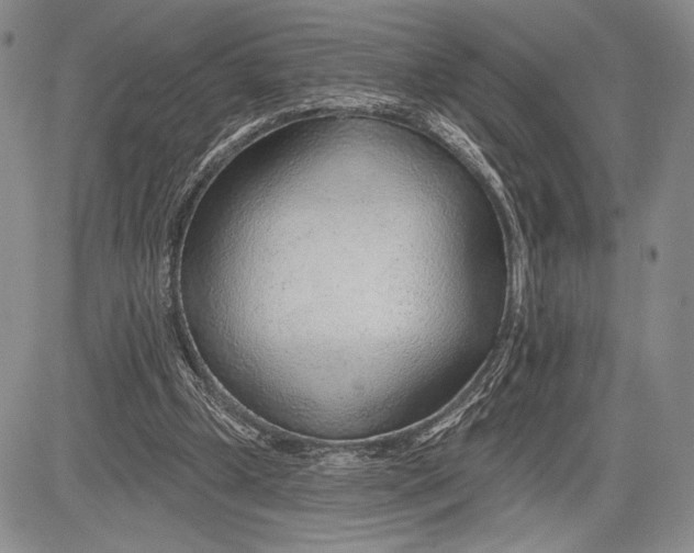 X0000081560249200702051156