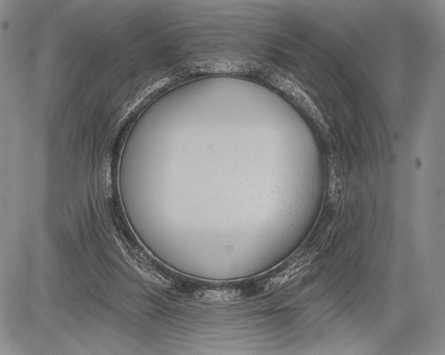 X0000081560251200702051156