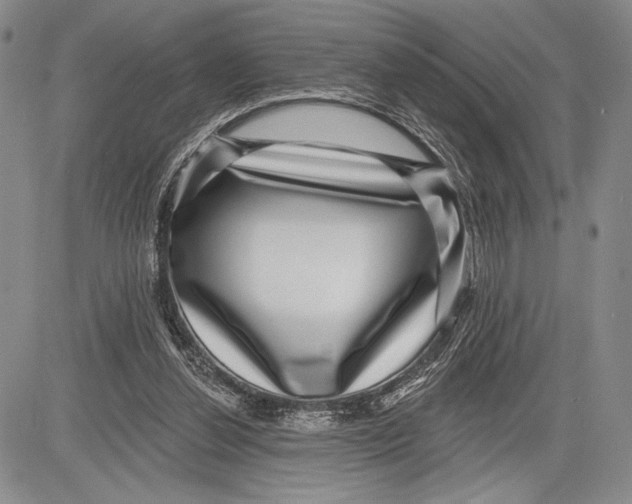 X0000081560252200702051156