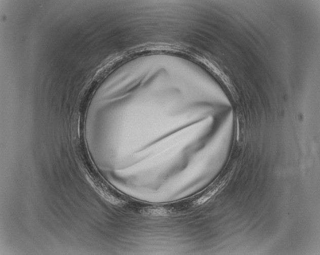 X0000081560253200702051156