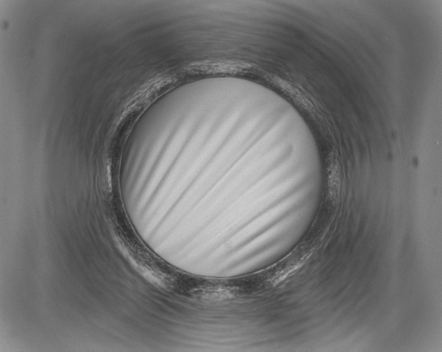 X0000081560254200702051156