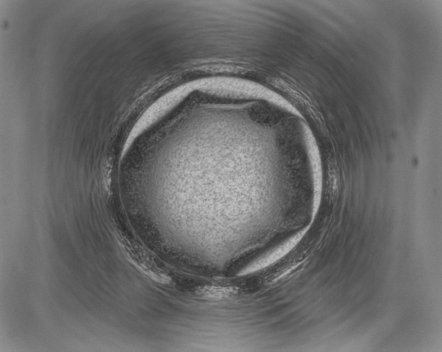 X0000081560255200702051156