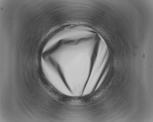 X0000081560256200702051156