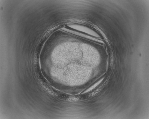 X0000081560257200702051156