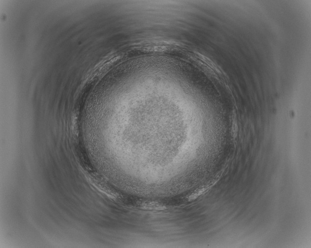 X0000081560258200702051156