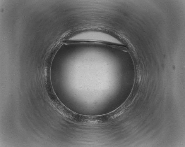 X0000081560260200702051156