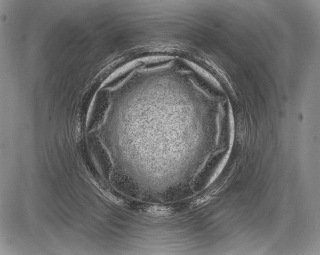 X0000081560261200702051156