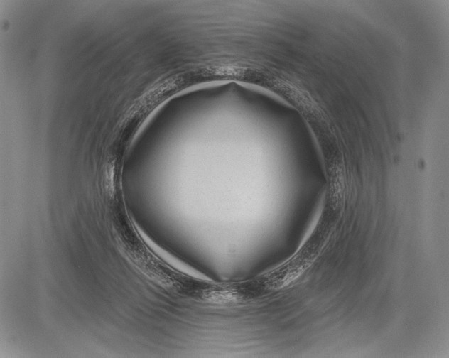 X0000081560262200702051156