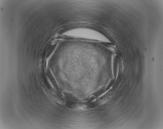 X0000081560263200702051156