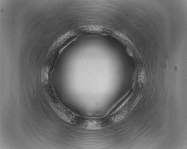 X0000081560264200702051156