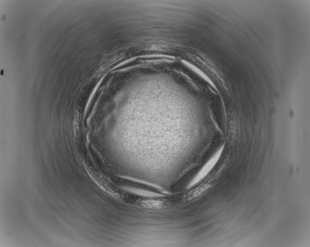 X0000081560265200702051156