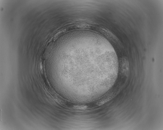 X0000081560266200702051156