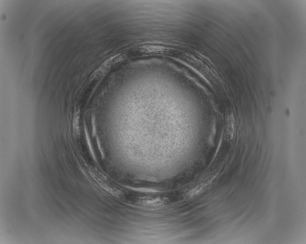 X0000081560267200702051156