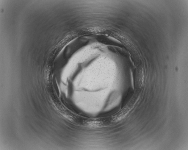 X0000081560268200702051156