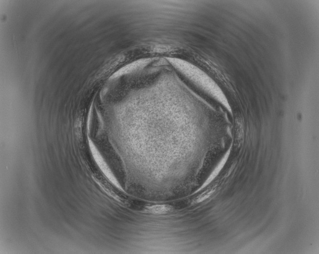 X0000081560269200702051156