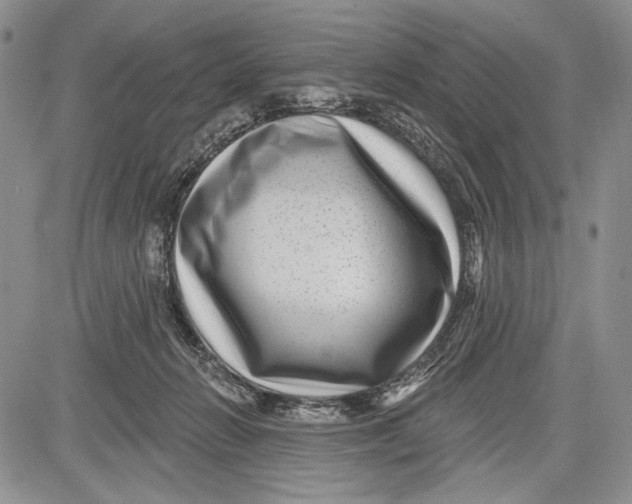 X0000081560270200702051156