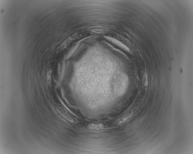 X0000081560271200702051157