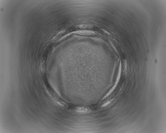 X0000081560272200702051157