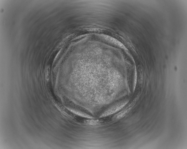 X0000081560273200702051157