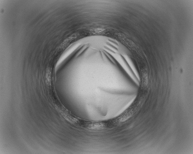 X0000081560274200702051157