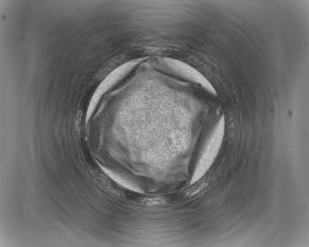 X0000081560275200702051157