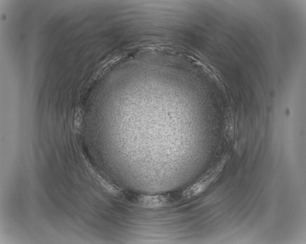 X0000081560277200702051157