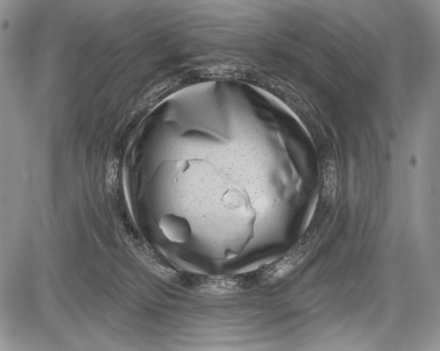 X0000081560278200702051157