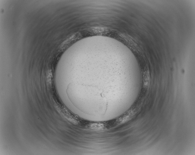 X0000081560279200702051157