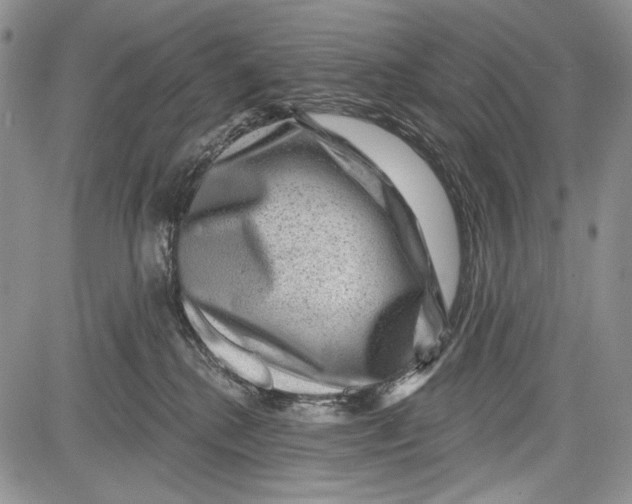 X0000081560280200702051157