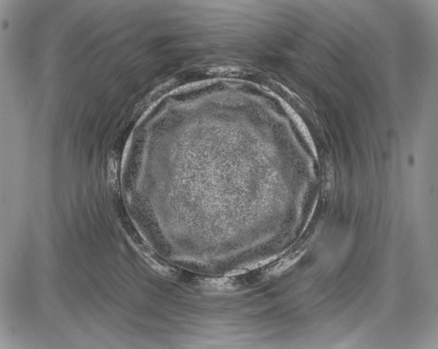 X0000081560281200702051157