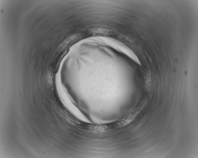 X0000081560282200702051157