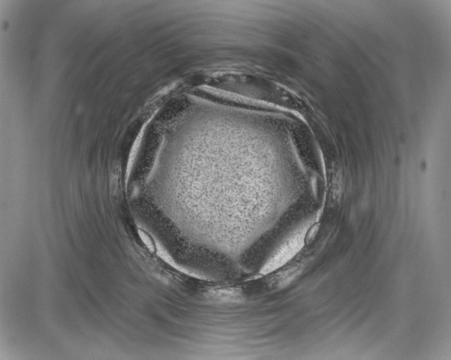 X0000081560283200702051157