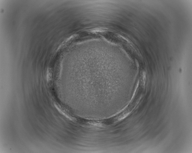 X0000081560284200702051157