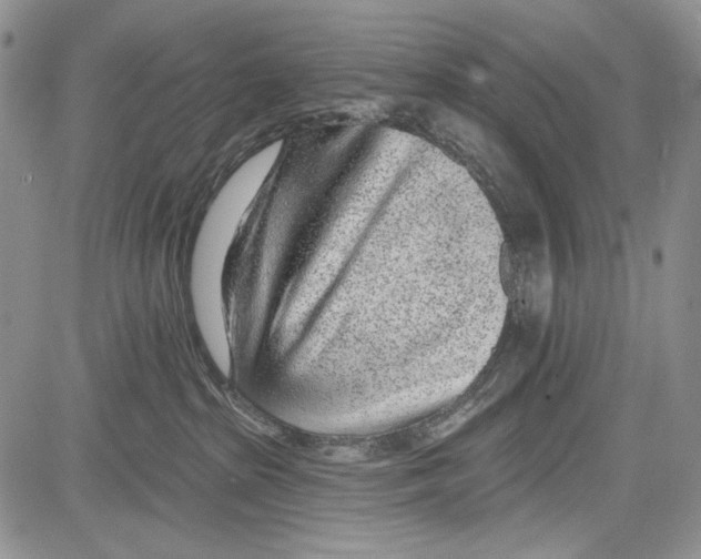 X0000081560285200702051157