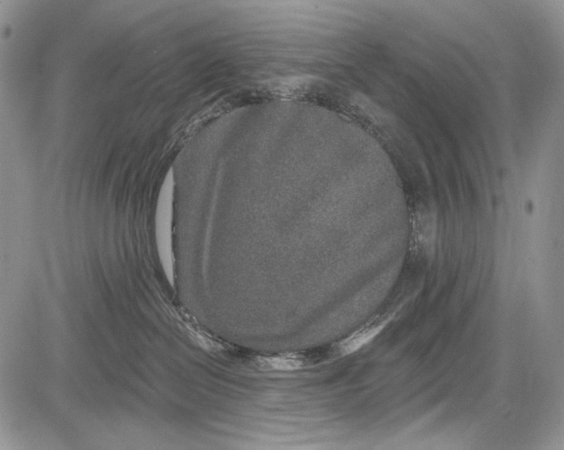 X0000081560286200702051157