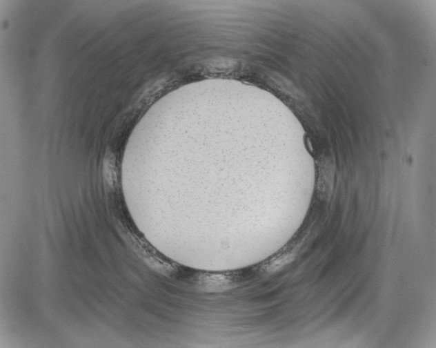 X0000081560287200702051157