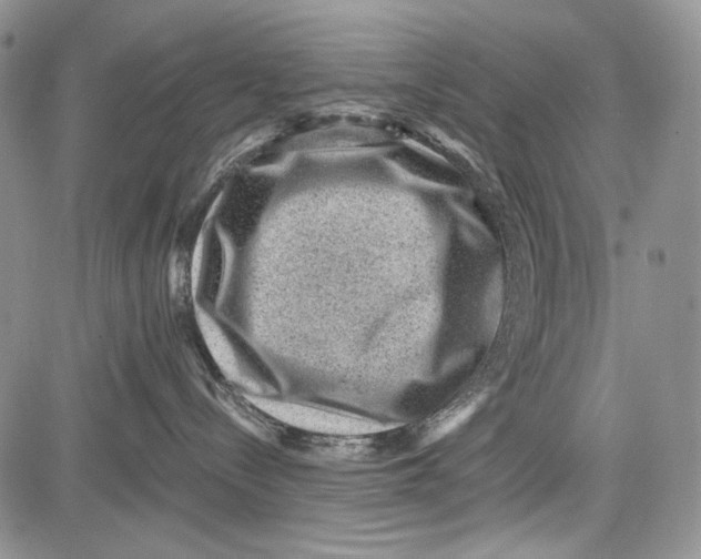 X0000081560288200702051157