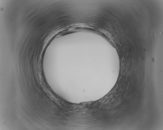 X0000081560289200702051156