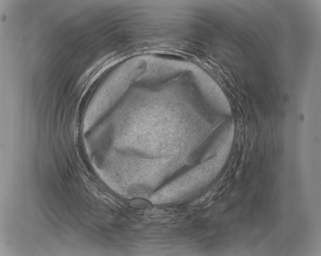 X0000081560290200702051156