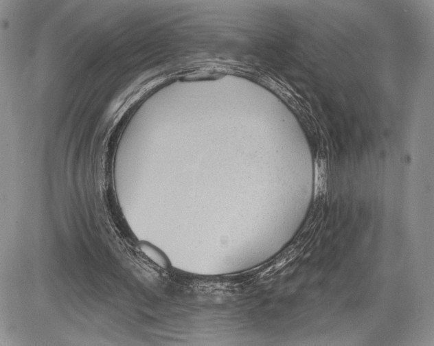 X0000081560291200702051156