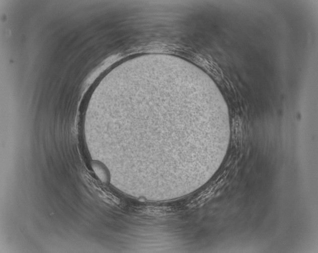 X0000081560292200702051156