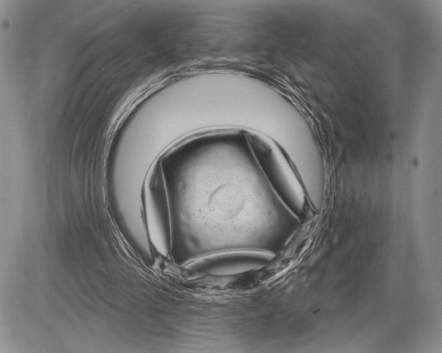 X0000081560293200702051156