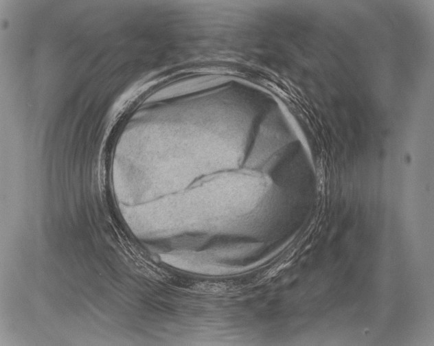 X0000081560294200702051156