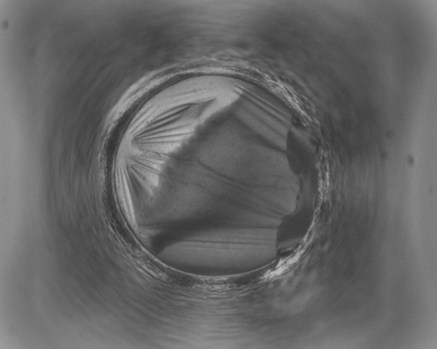 X0000081560295200702051156